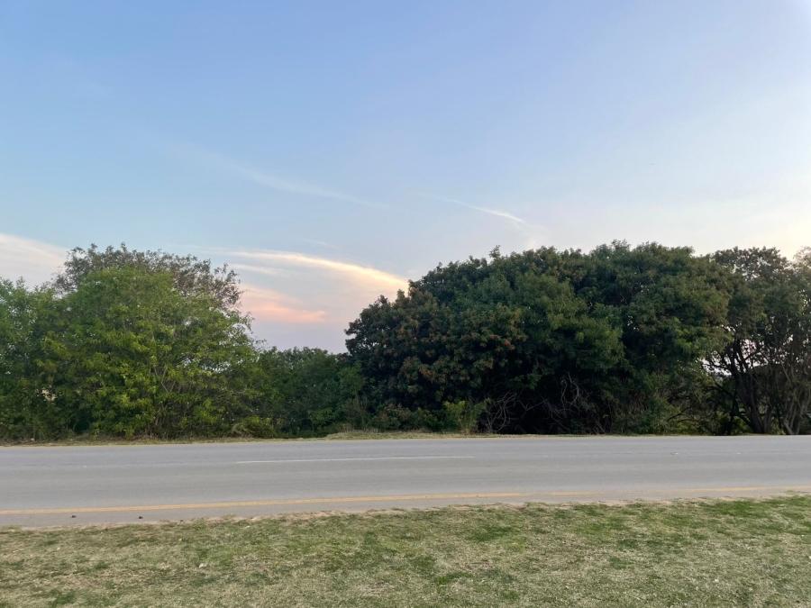 0 Bedroom Property for Sale in Bathurst Eastern Cape